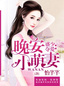 盛少夺爱：晚安小萌妻