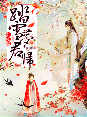 红帐暖：踏雪梦君归