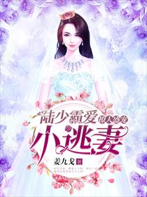 撩人盛宠：陆少霸爱小逃妻