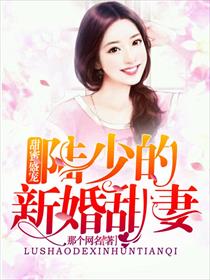 甜蜜盛宠，陆少的新婚甜妻