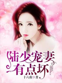 陆少宠妻有点坏