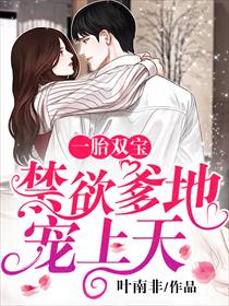 一胎双宝：禁欲爹地宠上天
