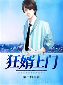 狂婿上门