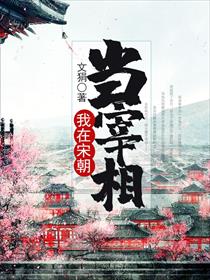 我在宋朝当宰相