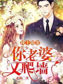 枕上甜妻：裴少，你老婆又爬墙了！