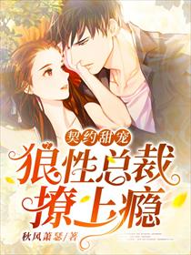 契约甜宠:狼性总裁撩上瘾